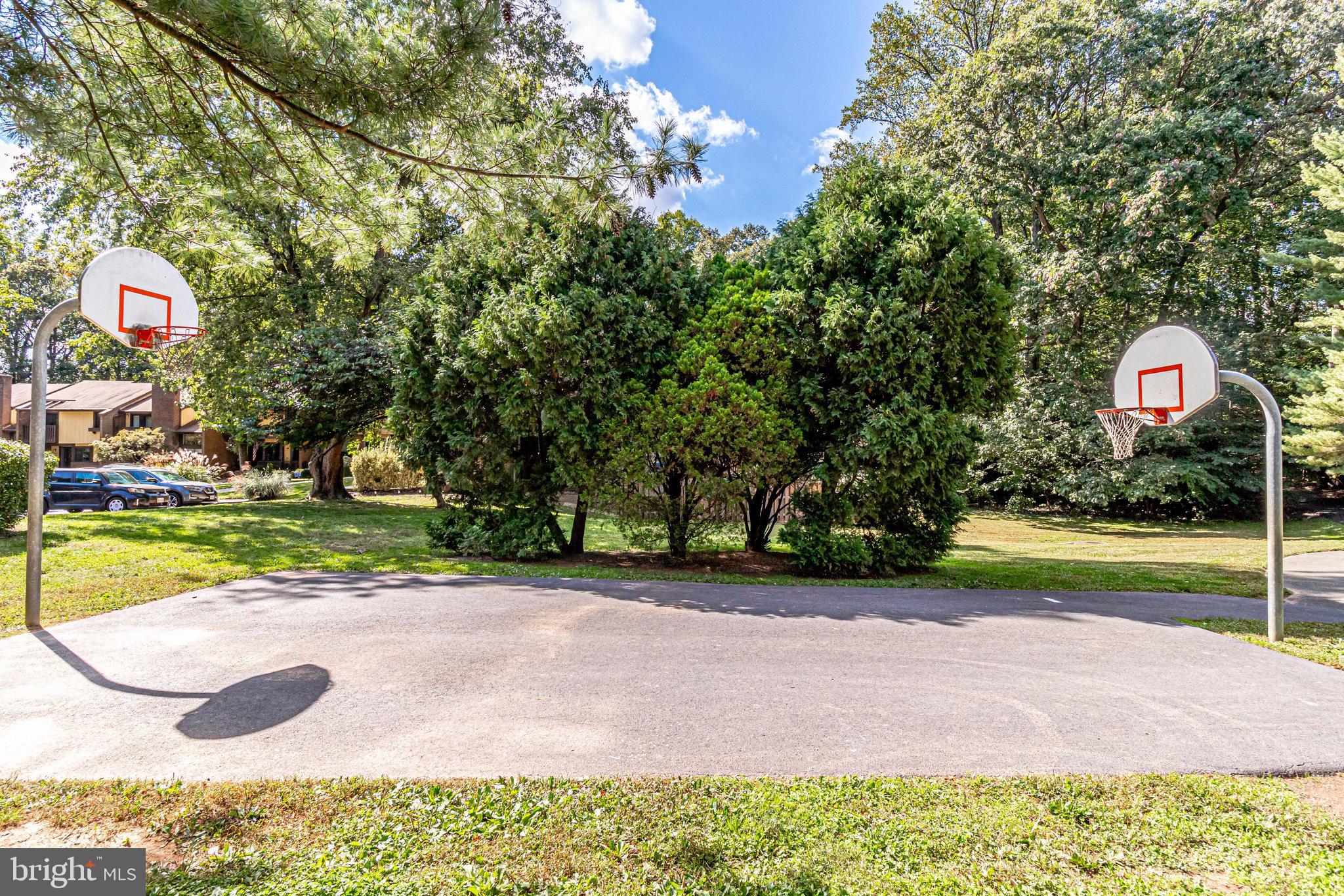 2210 Glencourse Lane Reston, VA 20191 - Photo 84 of 84 Community Basketball Court