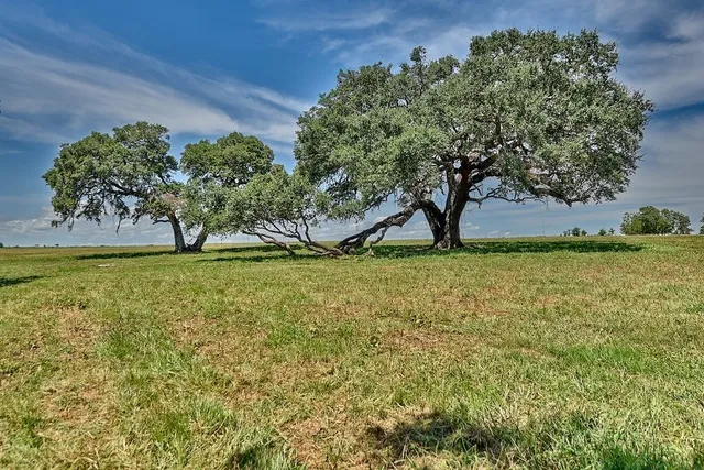 a view of an outdoor space