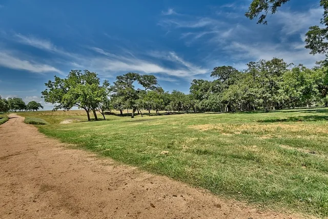 a view of a garden with an outdoor space