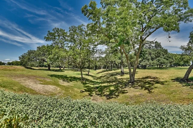 a view of a yard with yellow house