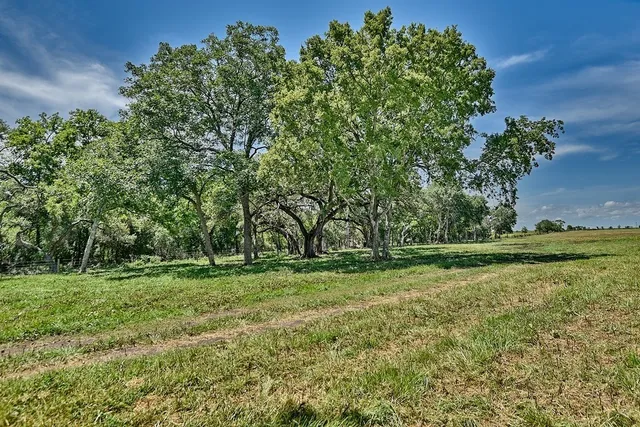 a view of a green field with trees
