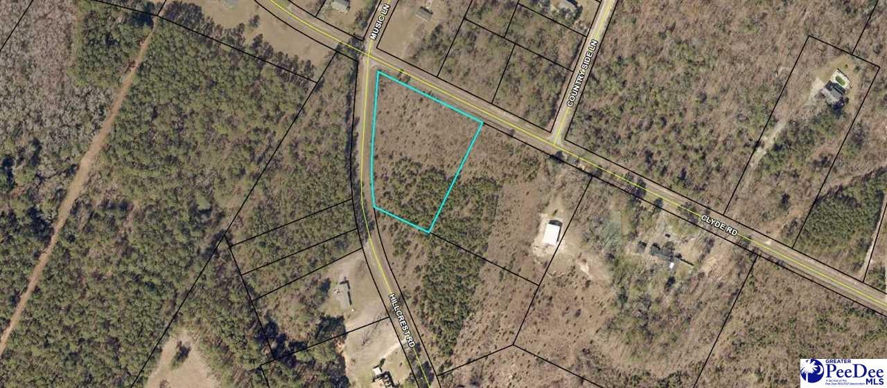 Clyde Road Hartsville, SC 29550 - Photo 1 of 1 Gallery Image 1