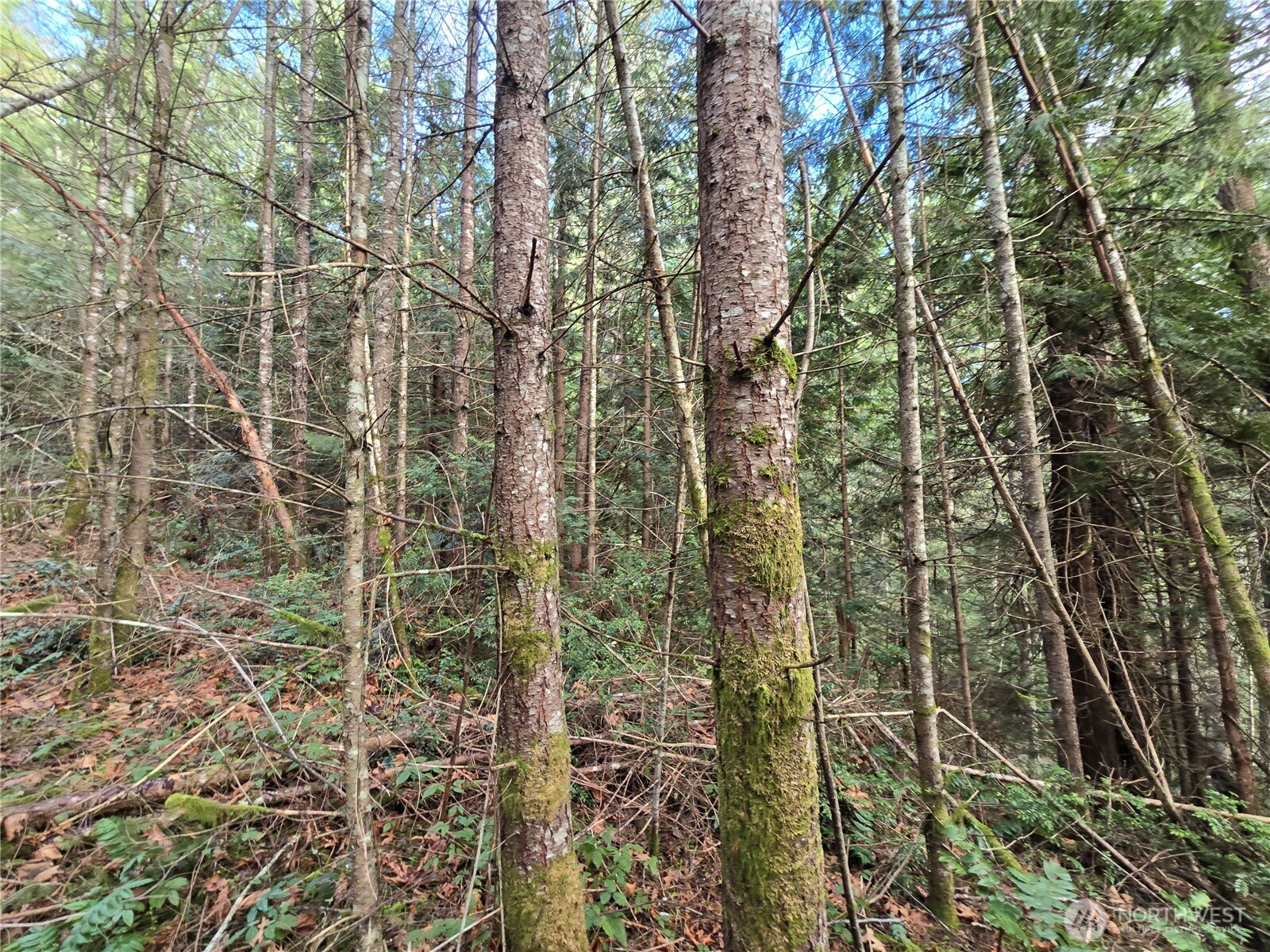 216-xx Bond Road Northeast Poulsbo, WA 98370 - Photo 15 of 26 view of a pathway of a building