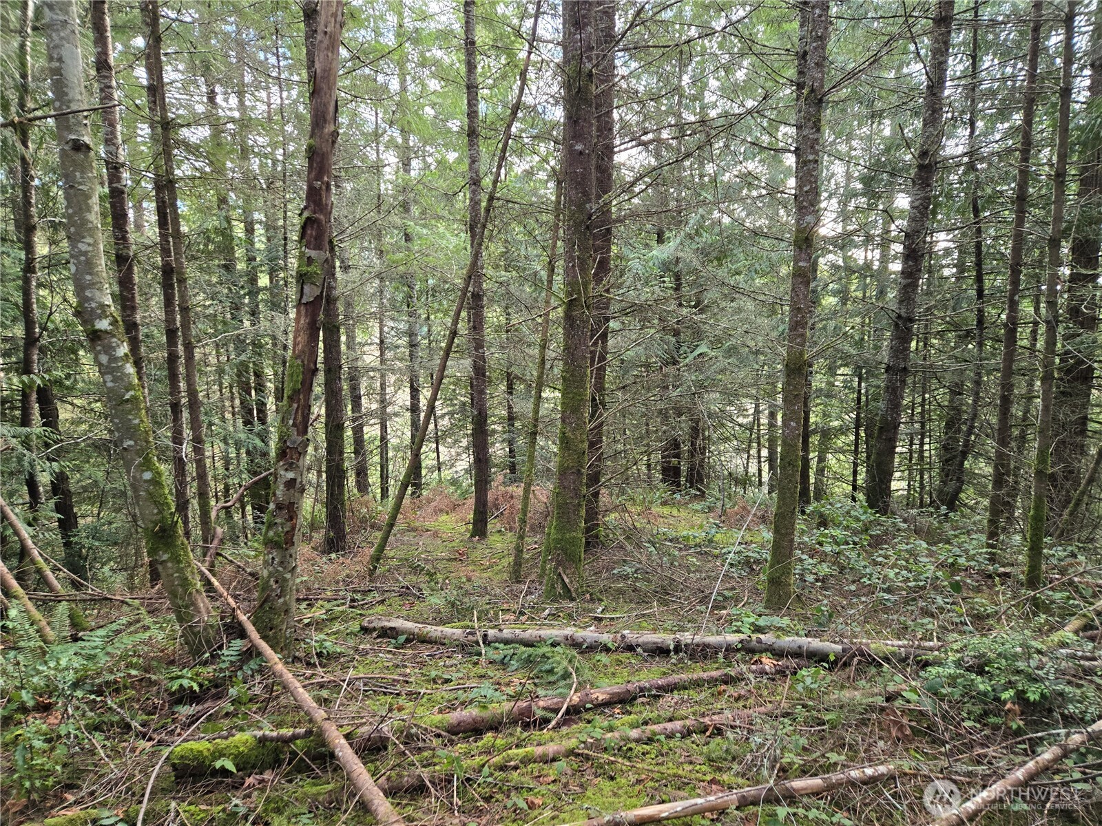216-xx Bond Road Northeast Poulsbo, WA 98370 - Photo 19 of 26 a backyard of a house with lots of green space