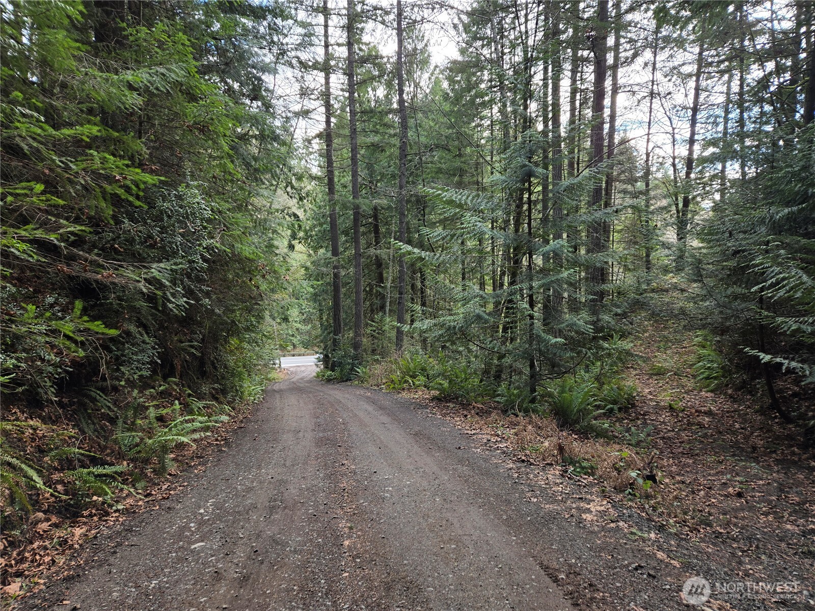216-xx Bond Road Northeast Poulsbo, WA 98370 - Photo 20 of 26 a view of a forest with trees in the background
