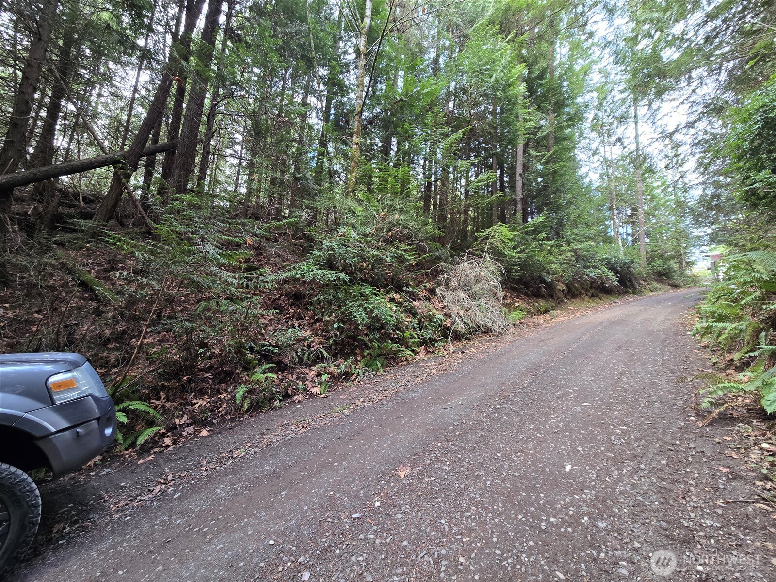 216-xx Bond Road Northeast Poulsbo, WA 98370 - Photo 21 of 26 a view of a yard with plants and trees
