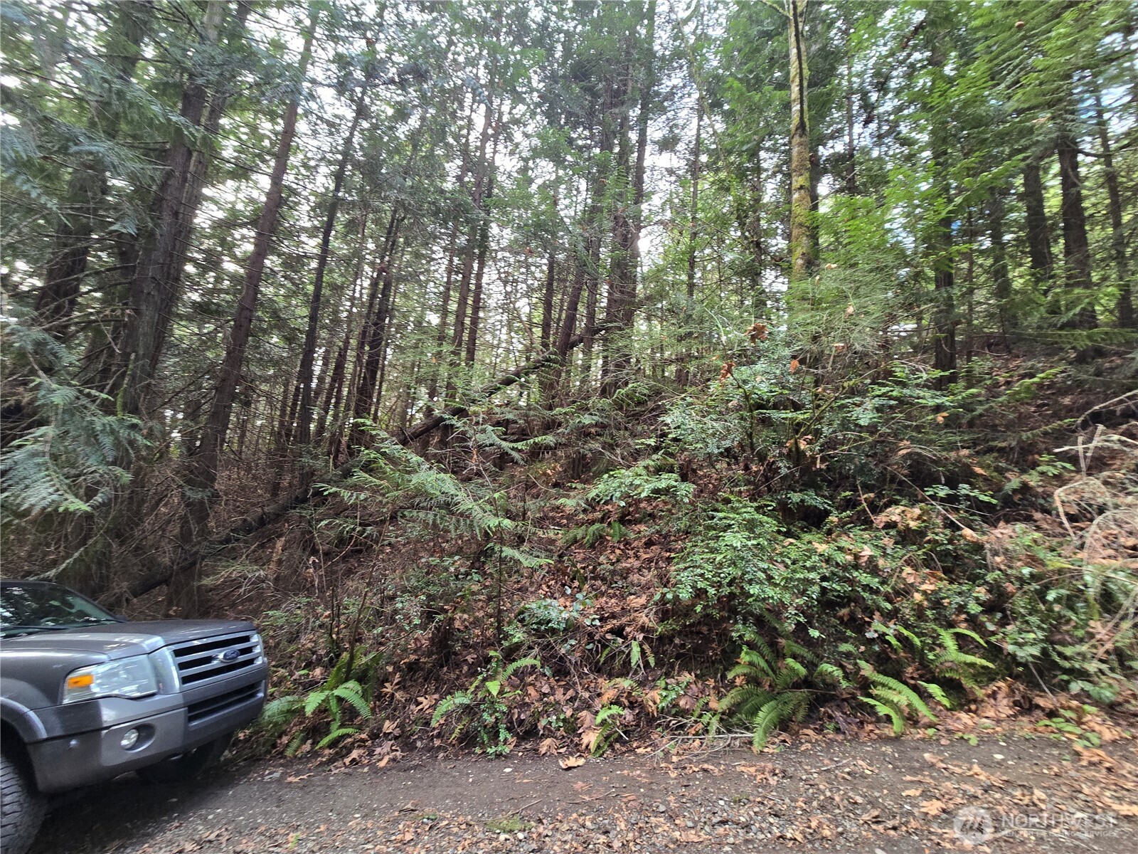 216-xx Bond Road Northeast Poulsbo, WA 98370 - Photo 22 of 26 a view of a car with a parked car