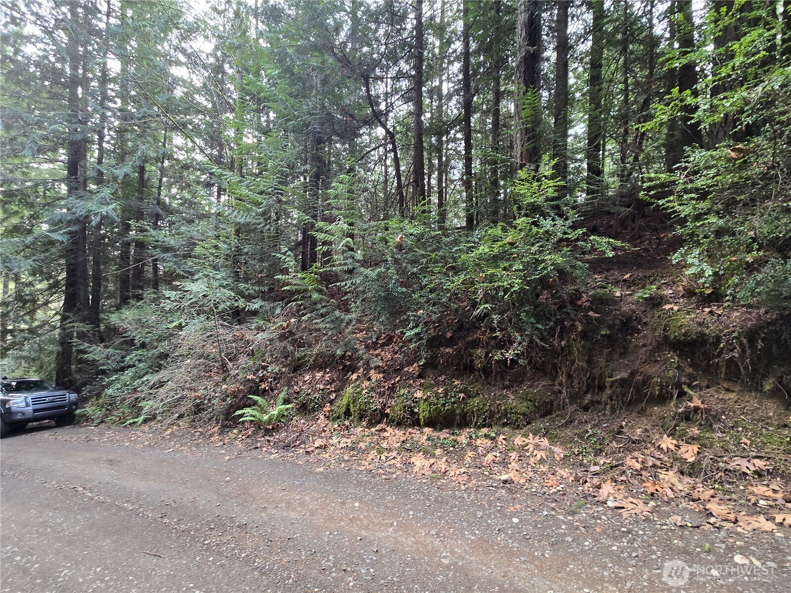 216-xx Bond Road Northeast Poulsbo, WA 98370 - Photo 23 of 26 a view of a forest with trees