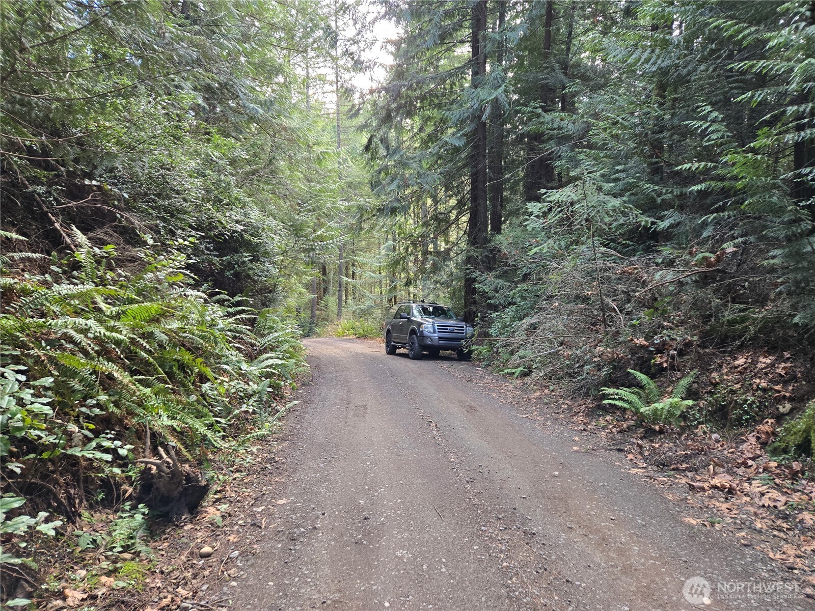 216-xx Bond Road Northeast Poulsbo, WA 98370 - Photo 7 of 26 a backyard of a house with lots of green space
