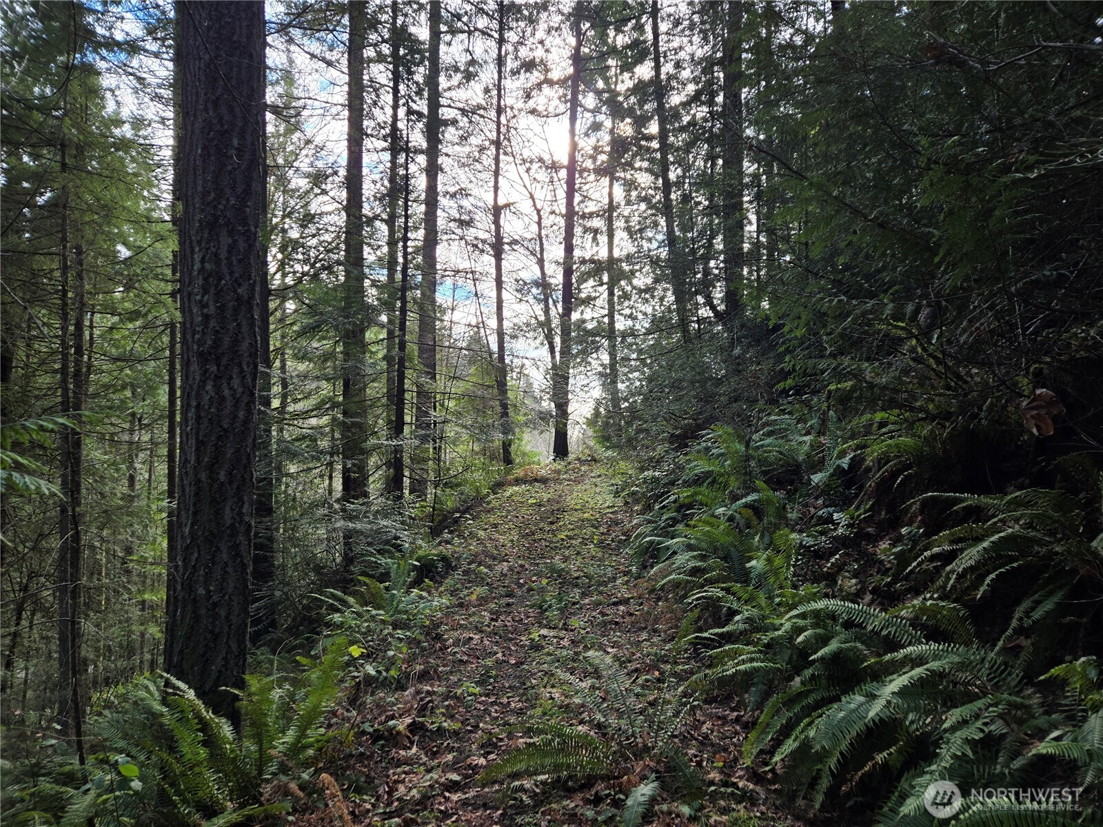 216-xx Bond Road Northeast Poulsbo, WA 98370 - Photo 8 of 26 a view of outdoor space and green space