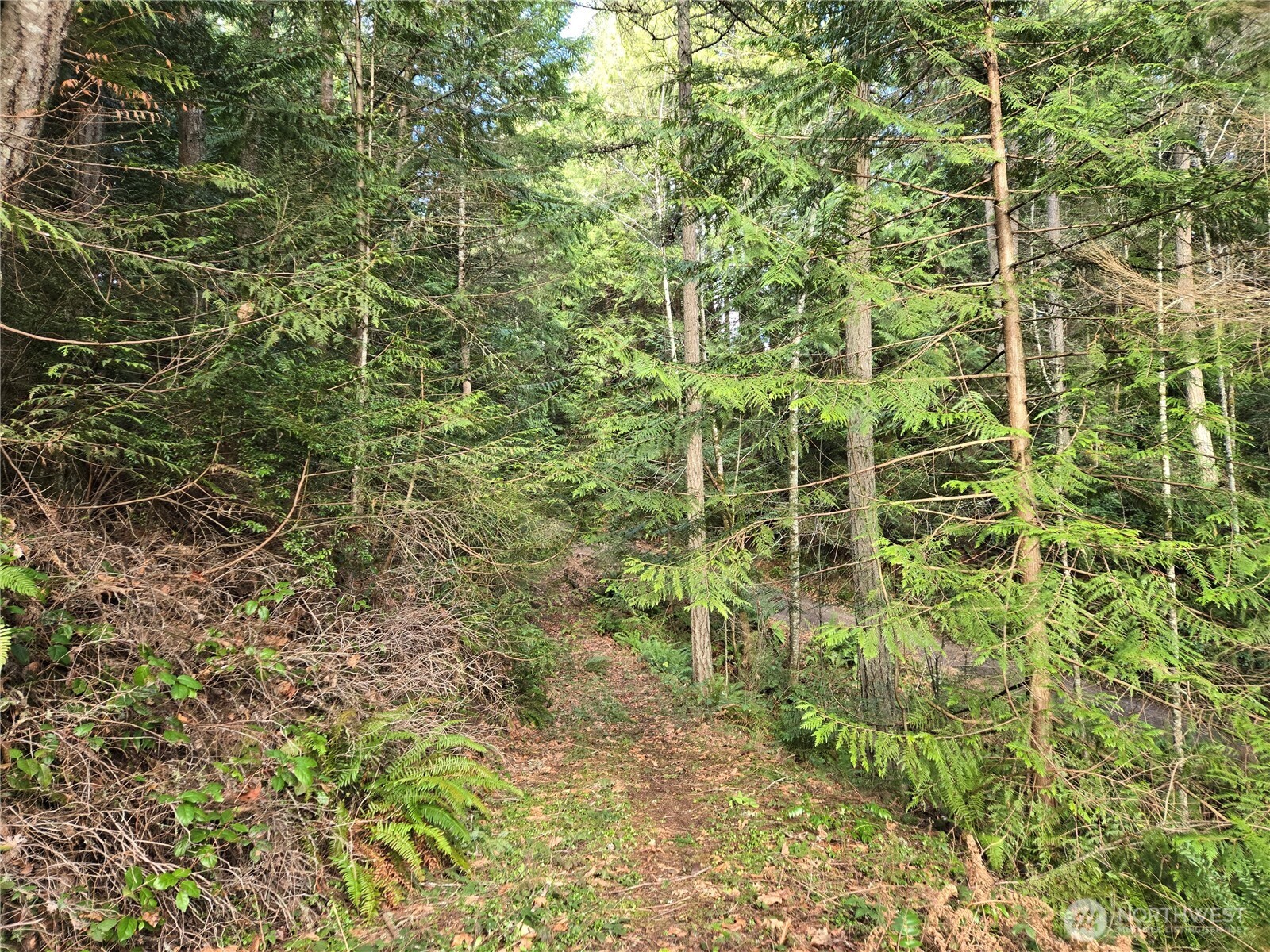216-xx Bond Road Northeast Poulsbo, WA 98370 - Photo 9 of 26 a view of a pathway of a building