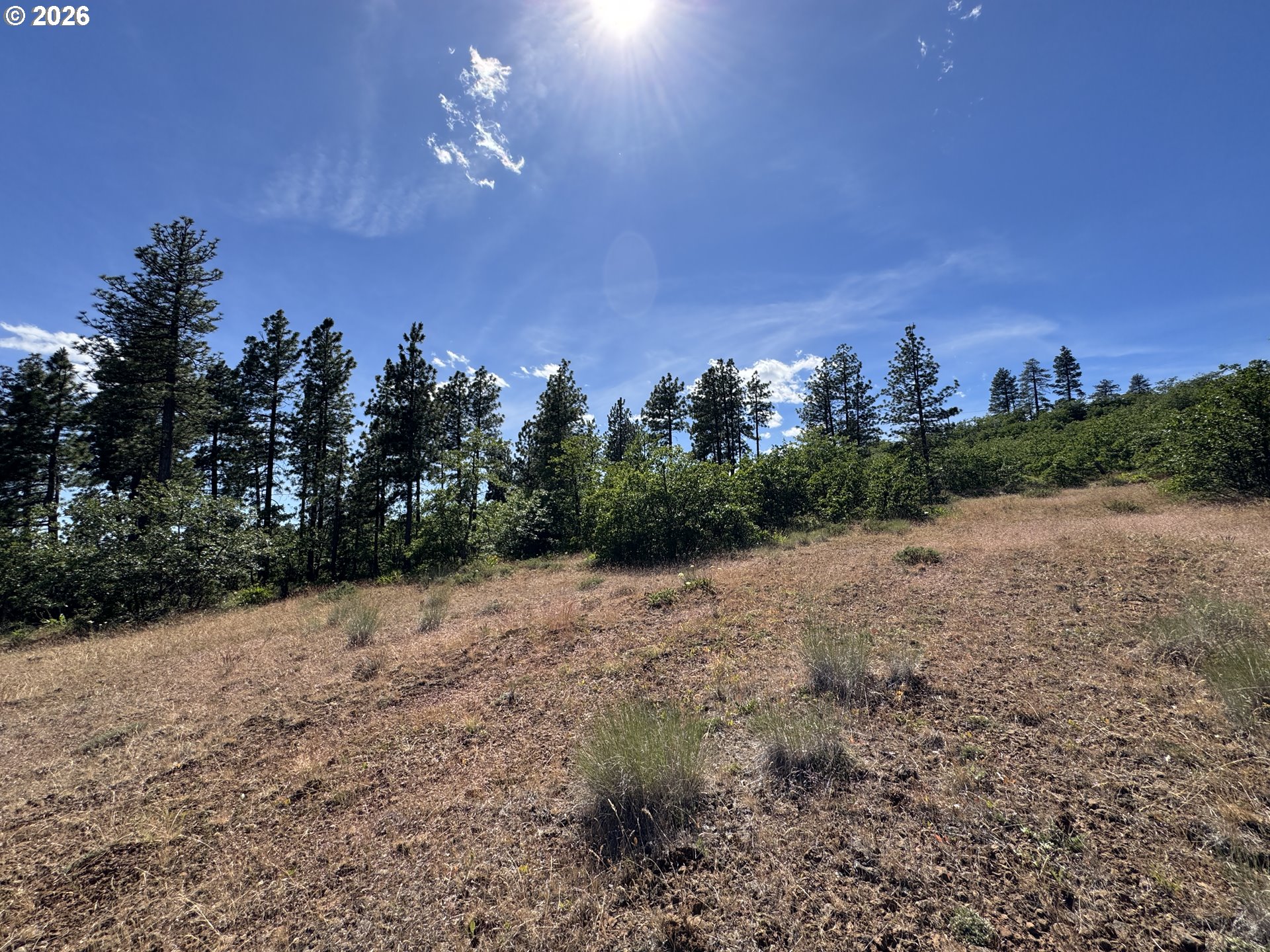 112 Timber Road Roosevelt, WA 99356 - Photo 25 of 31