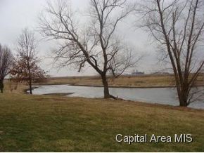 2347 Rees Road Jacksonville, IL 62650 - Photo 2 of 20
