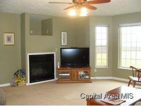 2347 Rees Road Jacksonville, IL 62650 - Photo 8 of 20