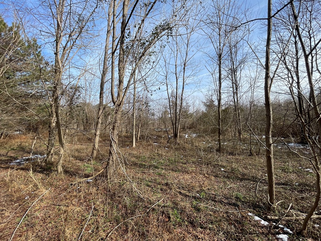 3.65 Old Neck Road, Unit 1 Weems, VA 22576 - Photo 11 of 35