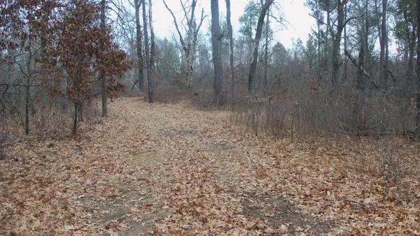 $64,900 | Lot 8 Canute Creek Trail, Grantsburg, WI 54840
