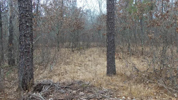$64,900 | Lot 8 Canute Creek Trail, Grantsburg, WI 54840