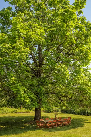 a outdoor space with patio the couches and a fireplace with potted plants