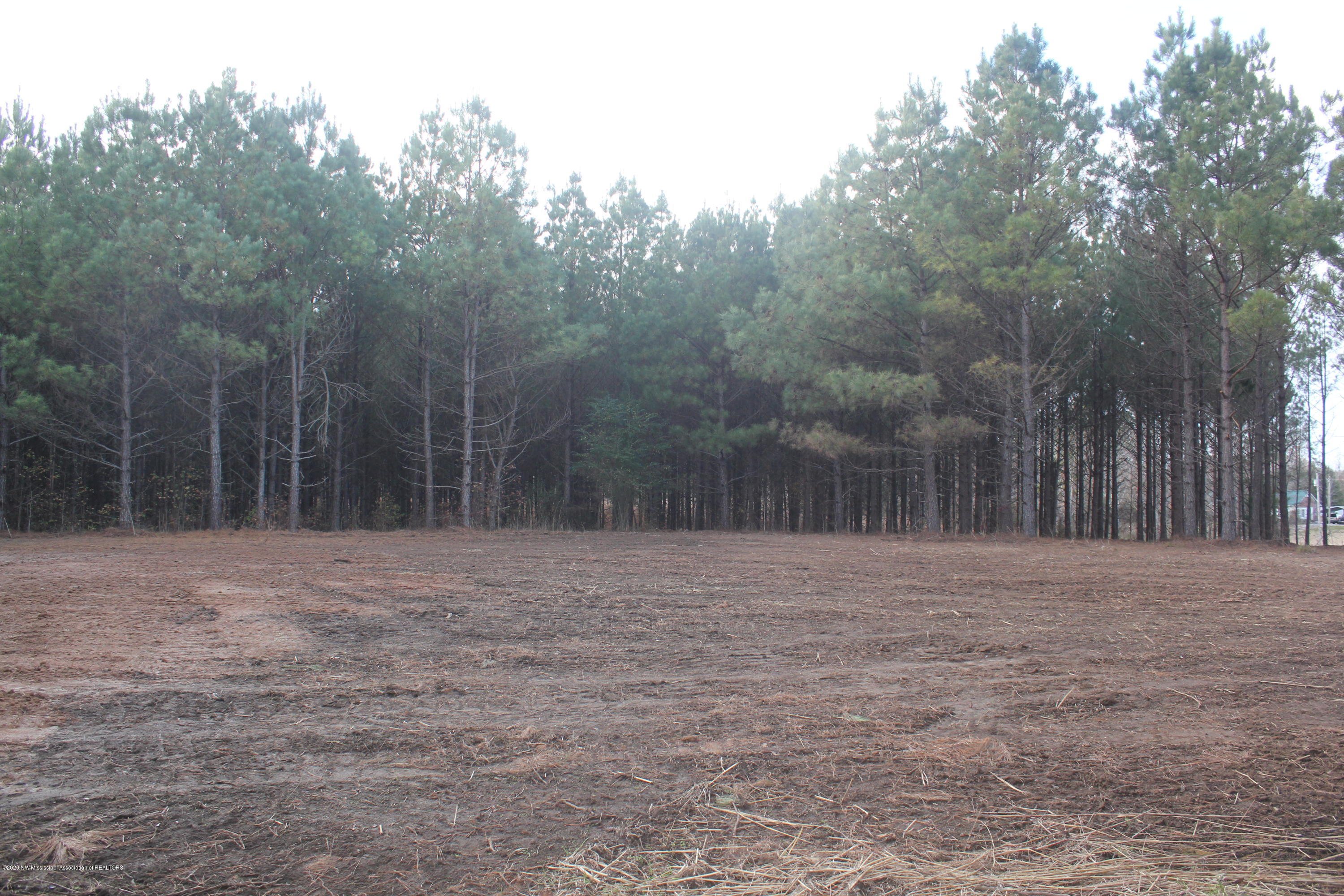 254 Hogan Road Lamar, MS 38642 - Photo 11 of 32 IMG_5329