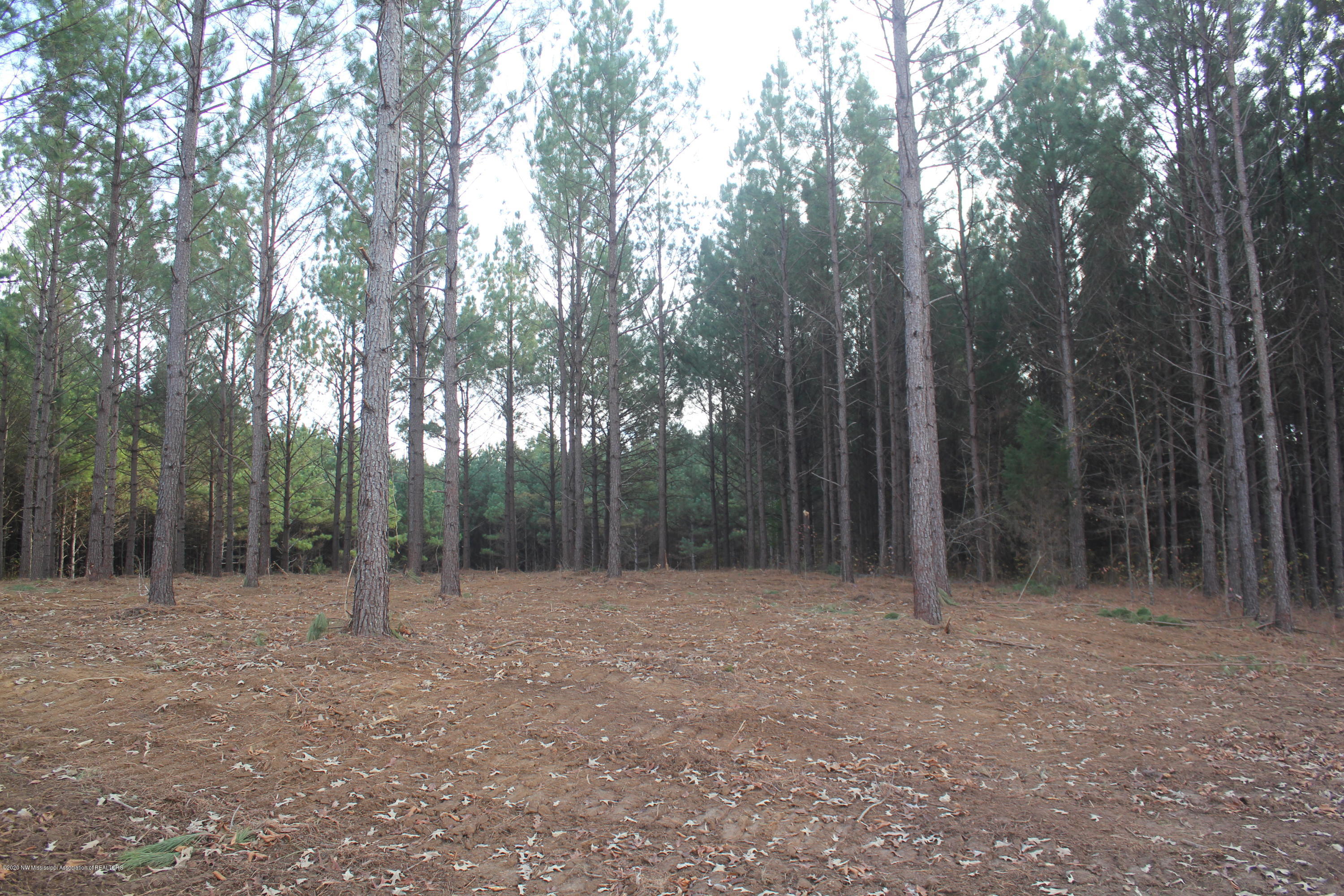 254 Hogan Road Lamar, MS 38642 - Photo 12 of 32 IMG_5330