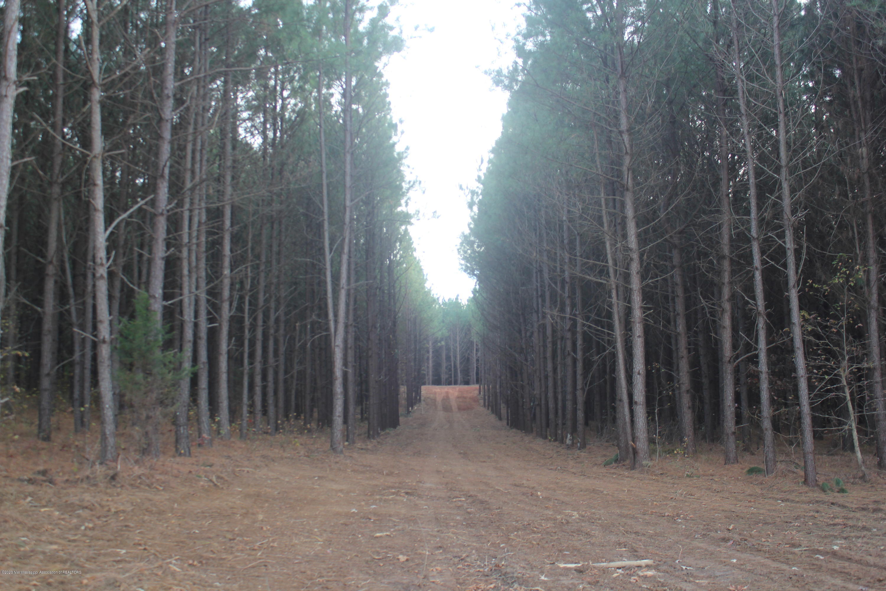 254 Hogan Road Lamar, MS 38642 - Photo 14 of 32 IMG_5332