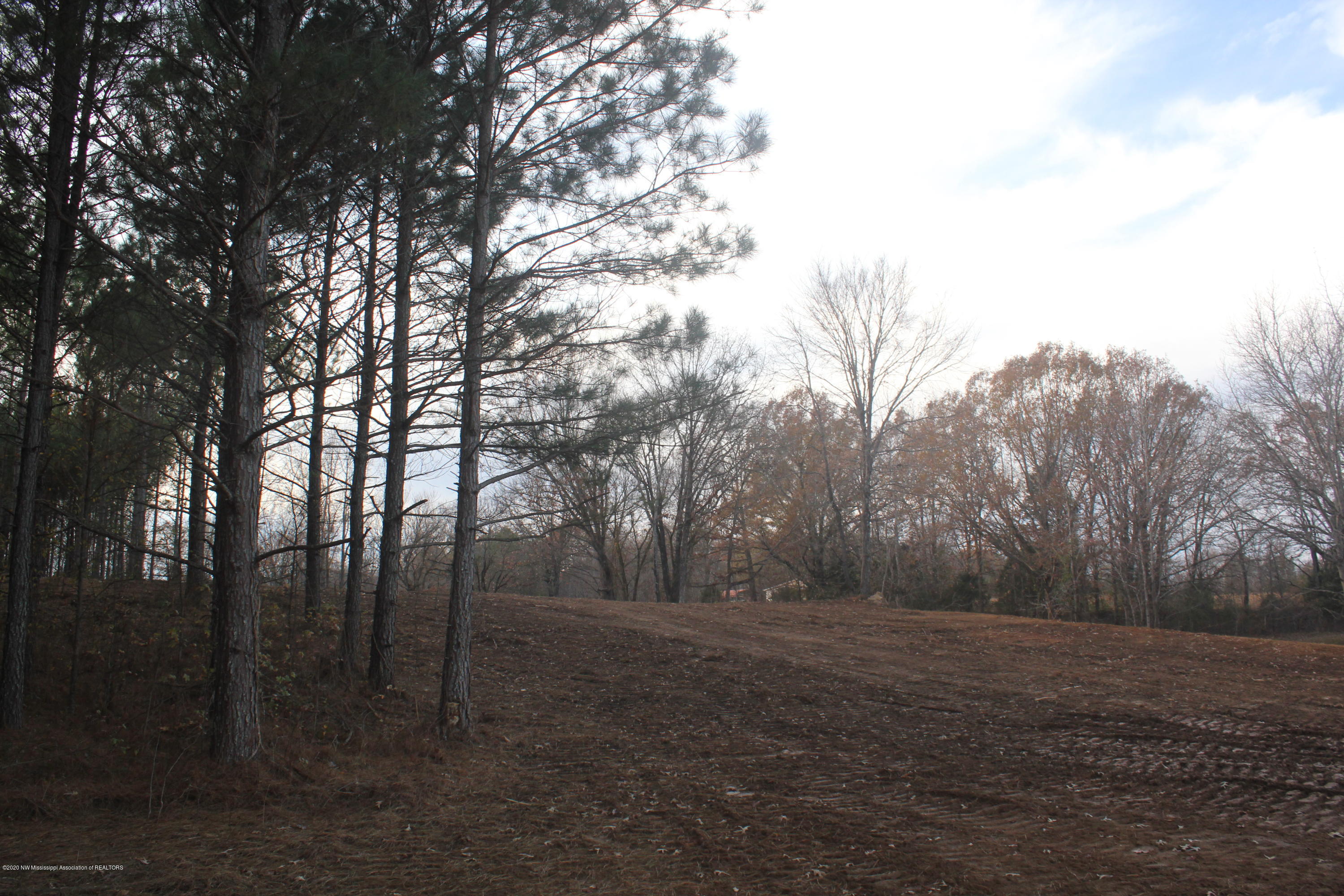 254 Hogan Road Lamar, MS 38642 - Photo 16 of 32 IMG_5334