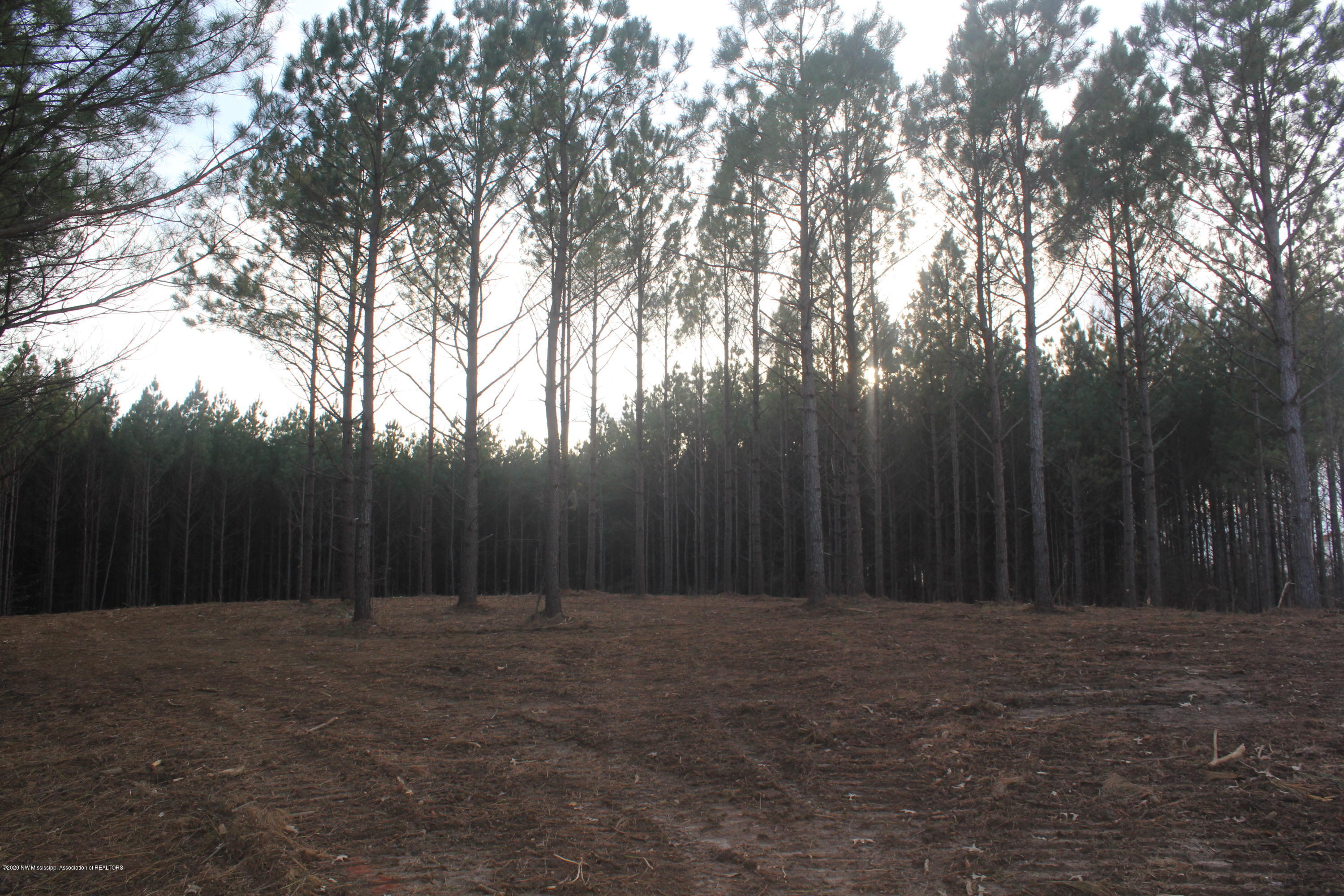 254 Hogan Road Lamar, MS 38642 - Photo 17 of 32 IMG_5335