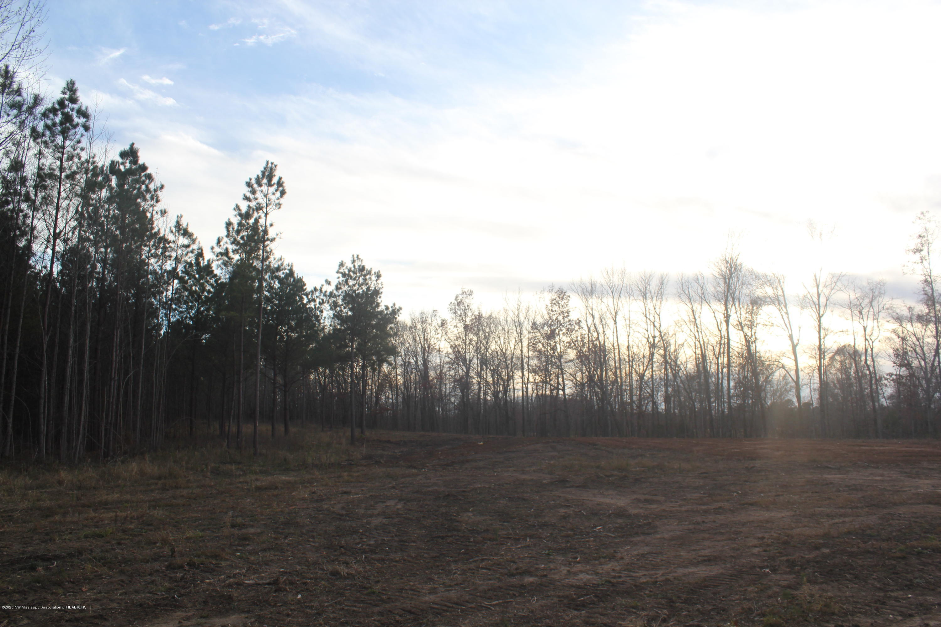 254 Hogan Road Lamar, MS 38642 - Photo 20 of 32 IMG_5338