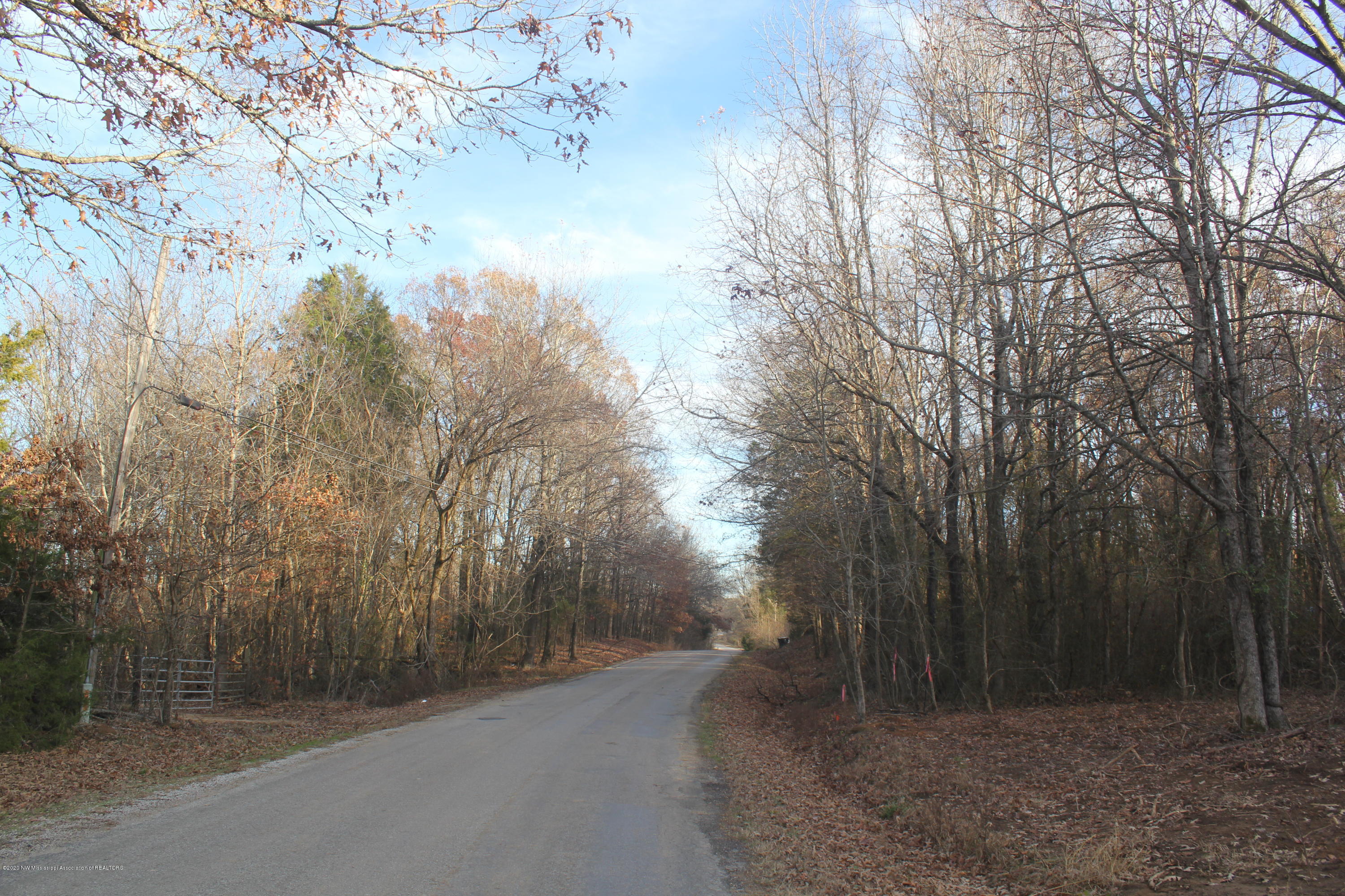 254 Hogan Road Lamar, MS 38642 - Photo 2 of 32 IMG_5320