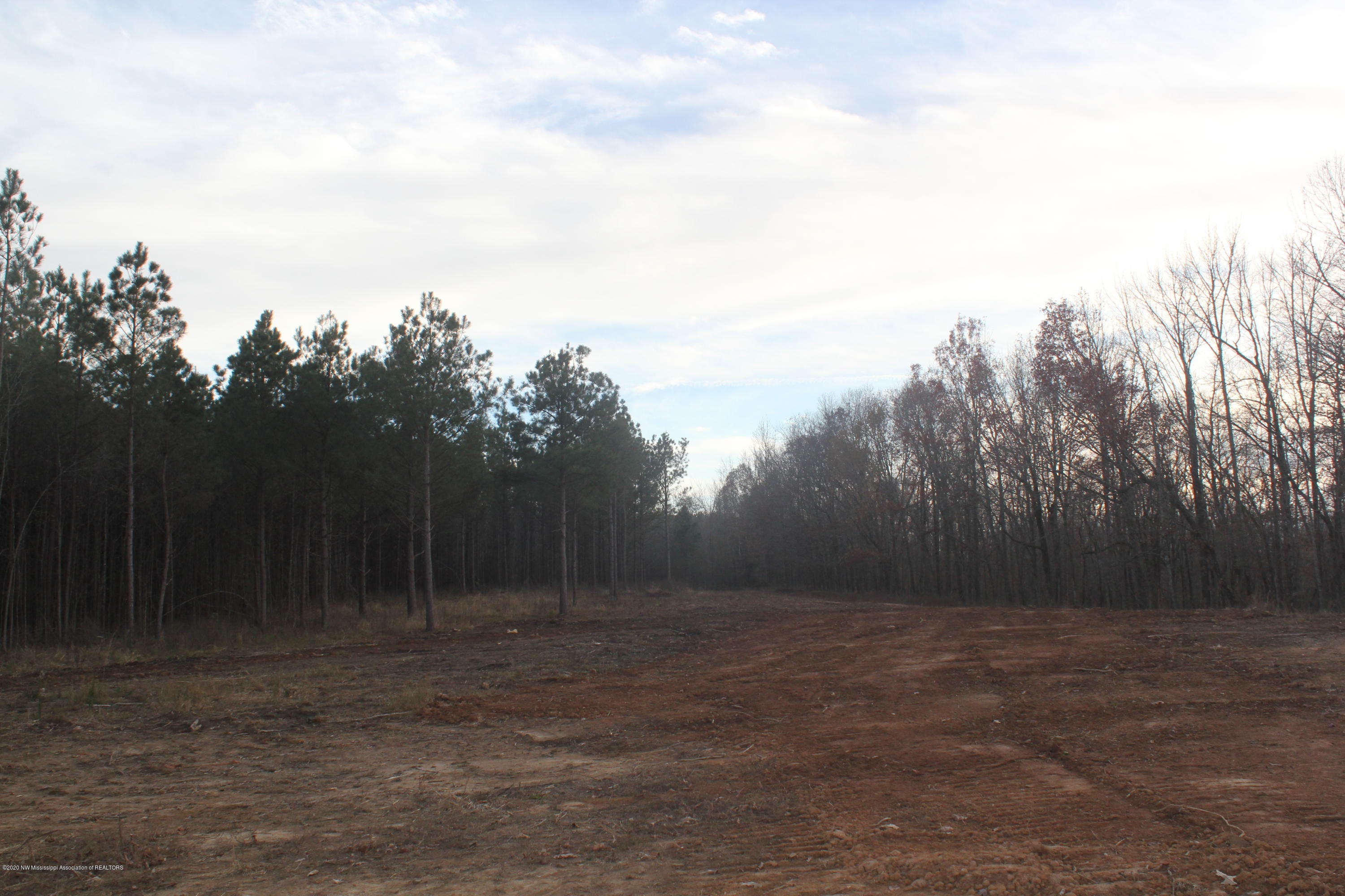 254 Hogan Road Lamar, MS 38642 - Photo 21 of 32 IMG_5339