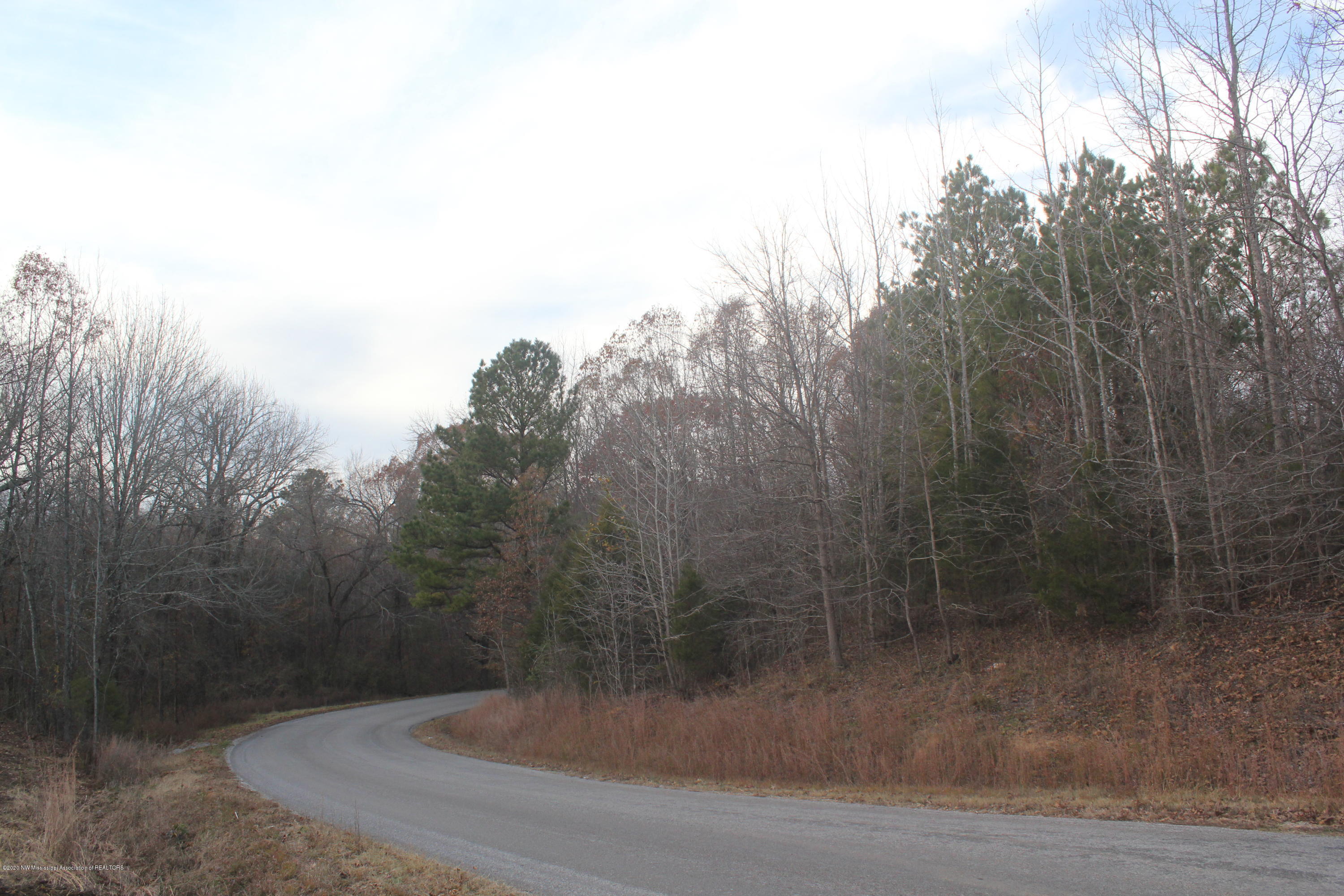 254 Hogan Road Lamar, MS 38642 - Photo 24 of 32 IMG_5342