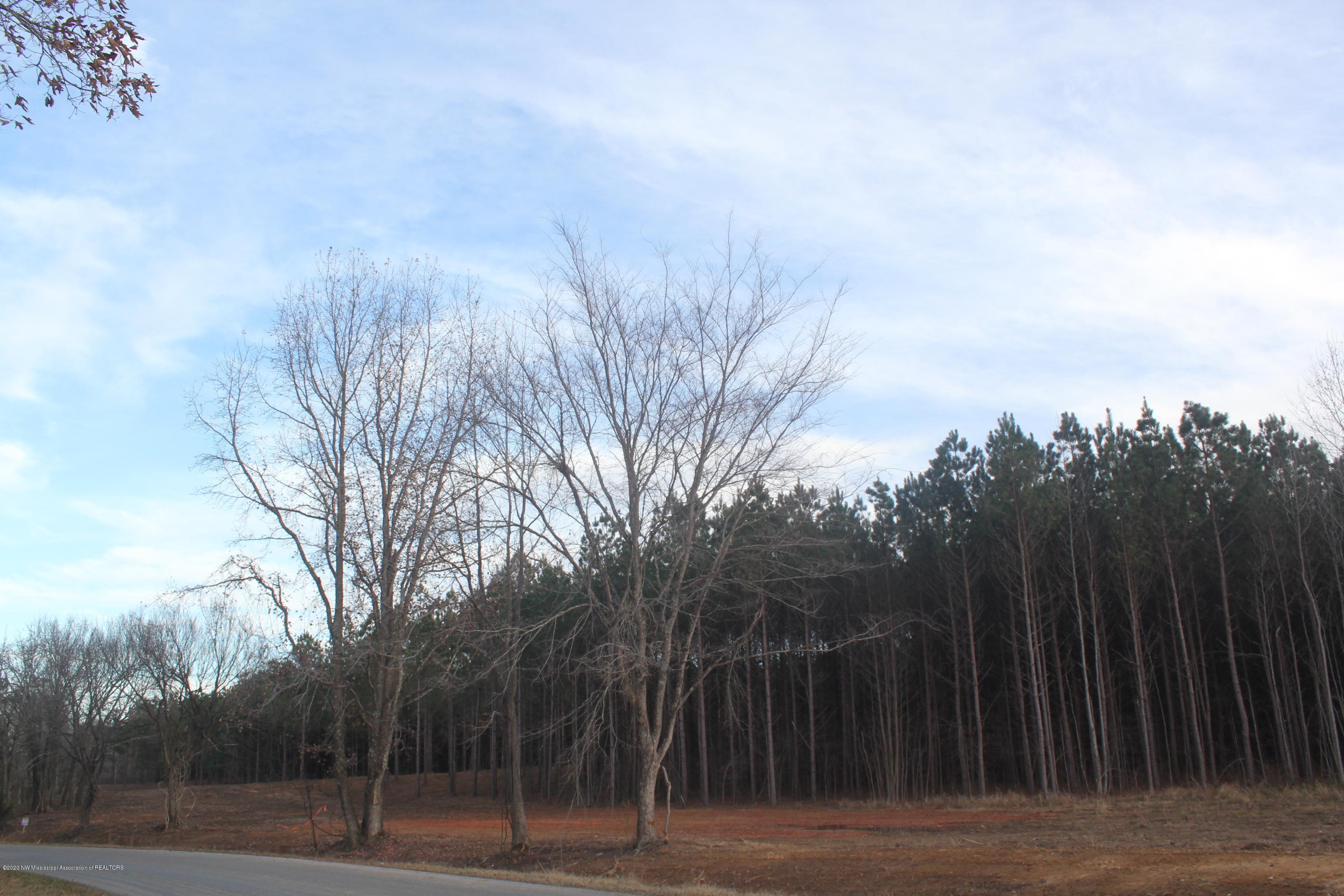 254 Hogan Road Lamar, MS 38642 - Photo 26 of 32 IMG_5344