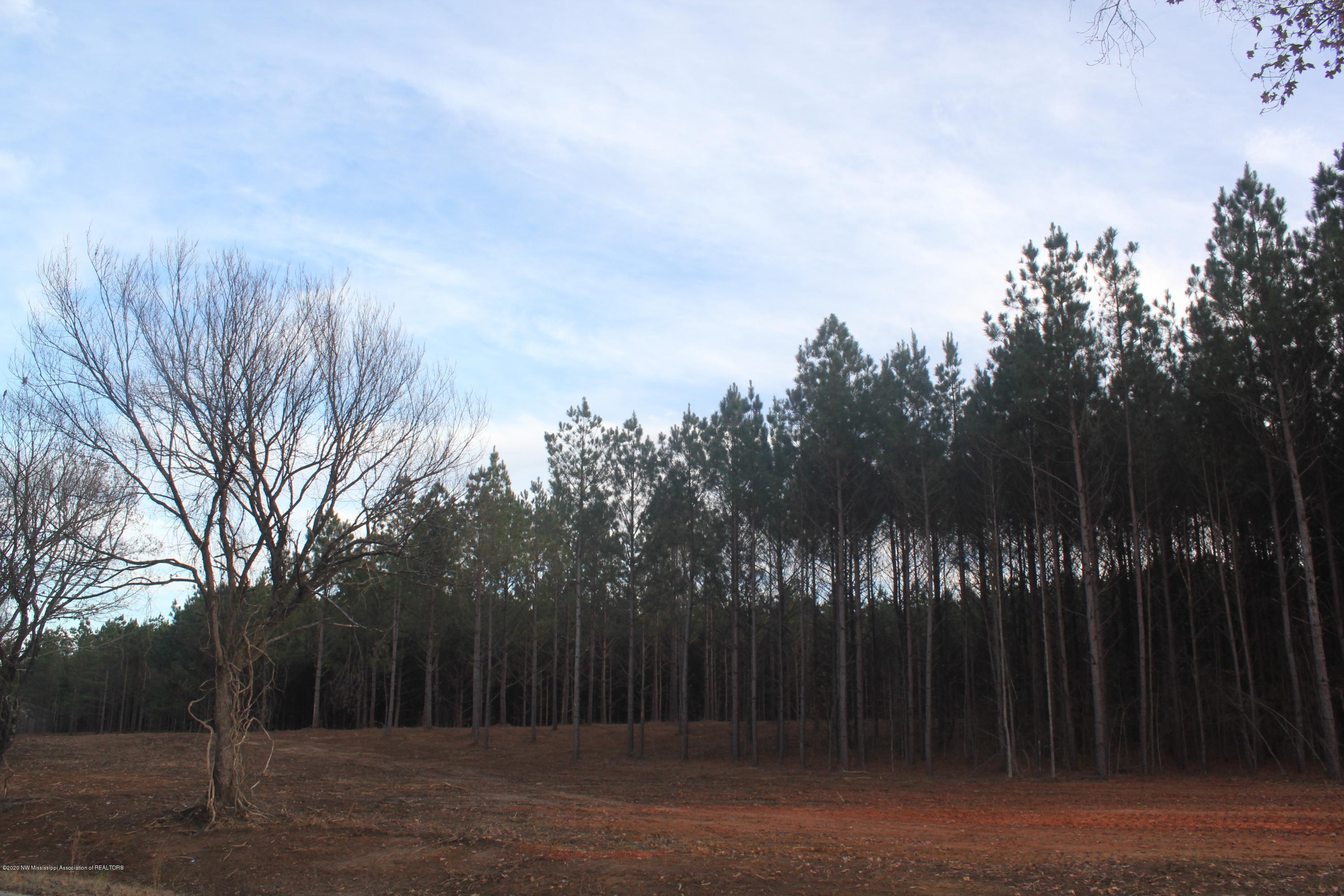 254 Hogan Road Lamar, MS 38642 - Photo 27 of 32 IMG_5345