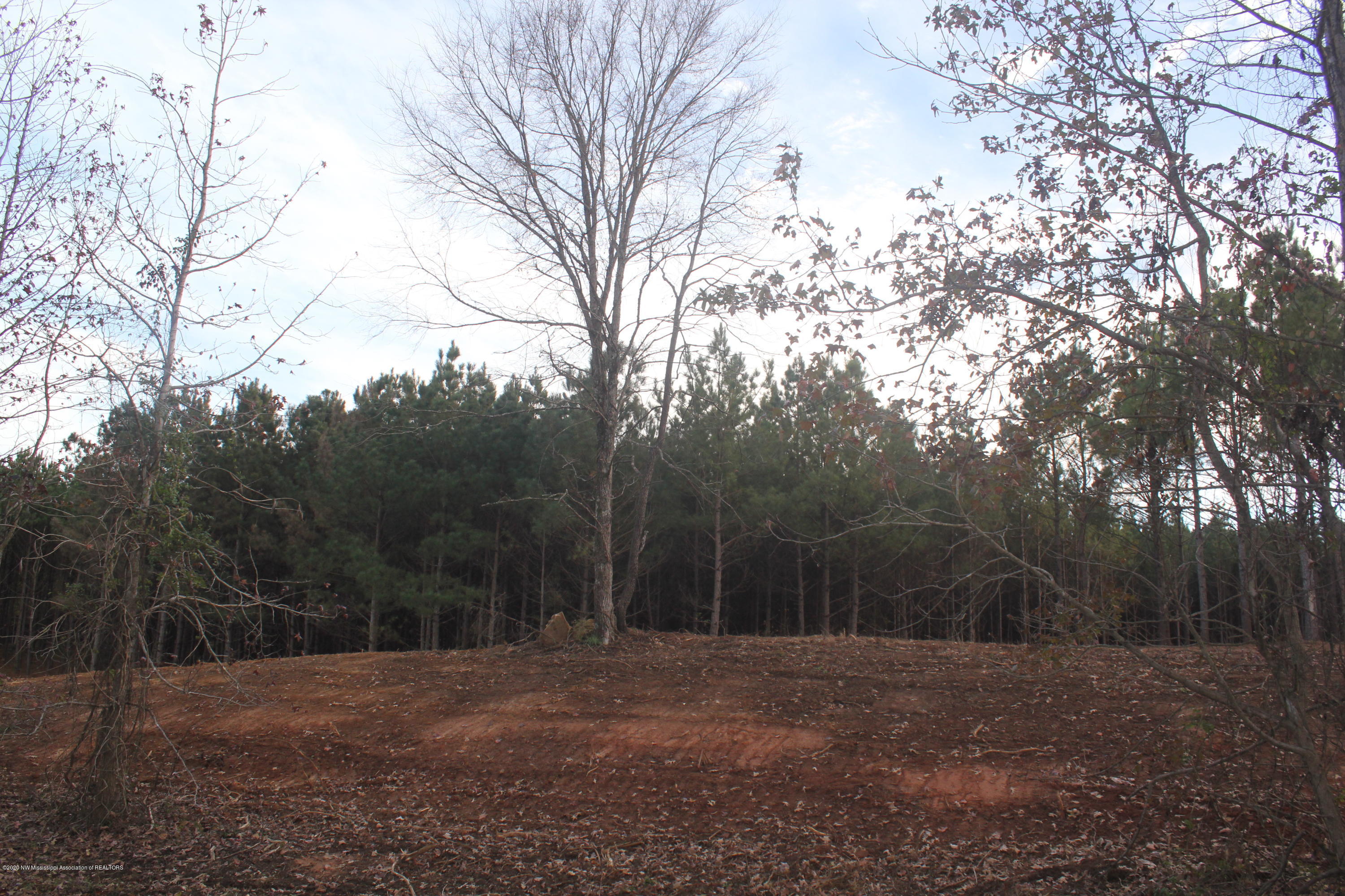 254 Hogan Road Lamar, MS 38642 - Photo 29 of 32 IMG_5347