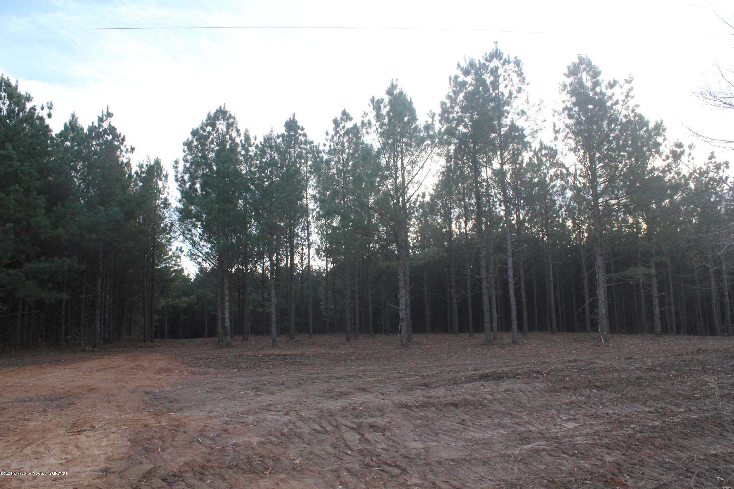 254 Hogan Road Lamar, MS 38642 - Photo 32 of 32 IMG_5350