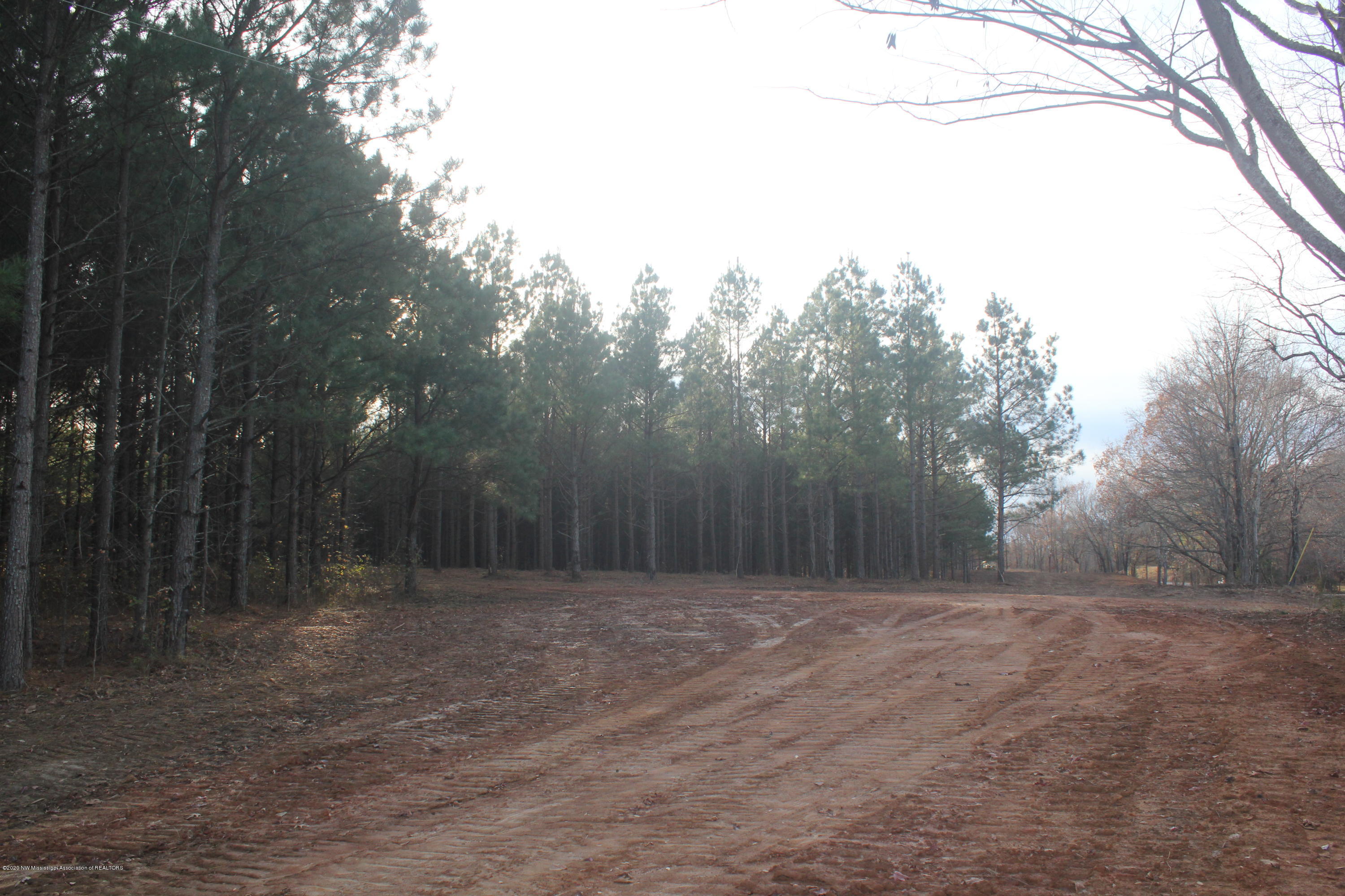 254 Hogan Road Lamar, MS 38642 - Photo 6 of 32 IMG_5324