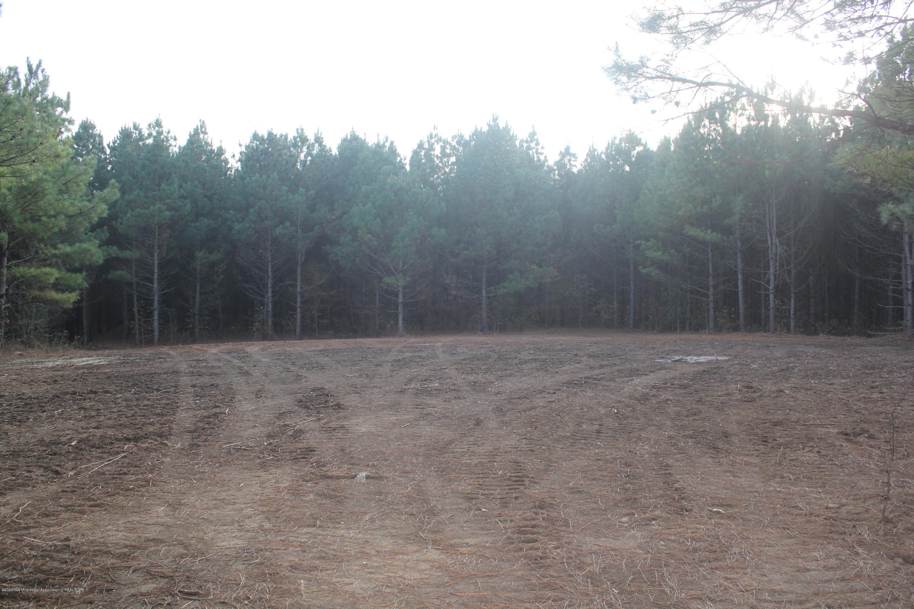 254 Hogan Road Lamar, MS 38642 - Photo 10 of 32 IMG_5328