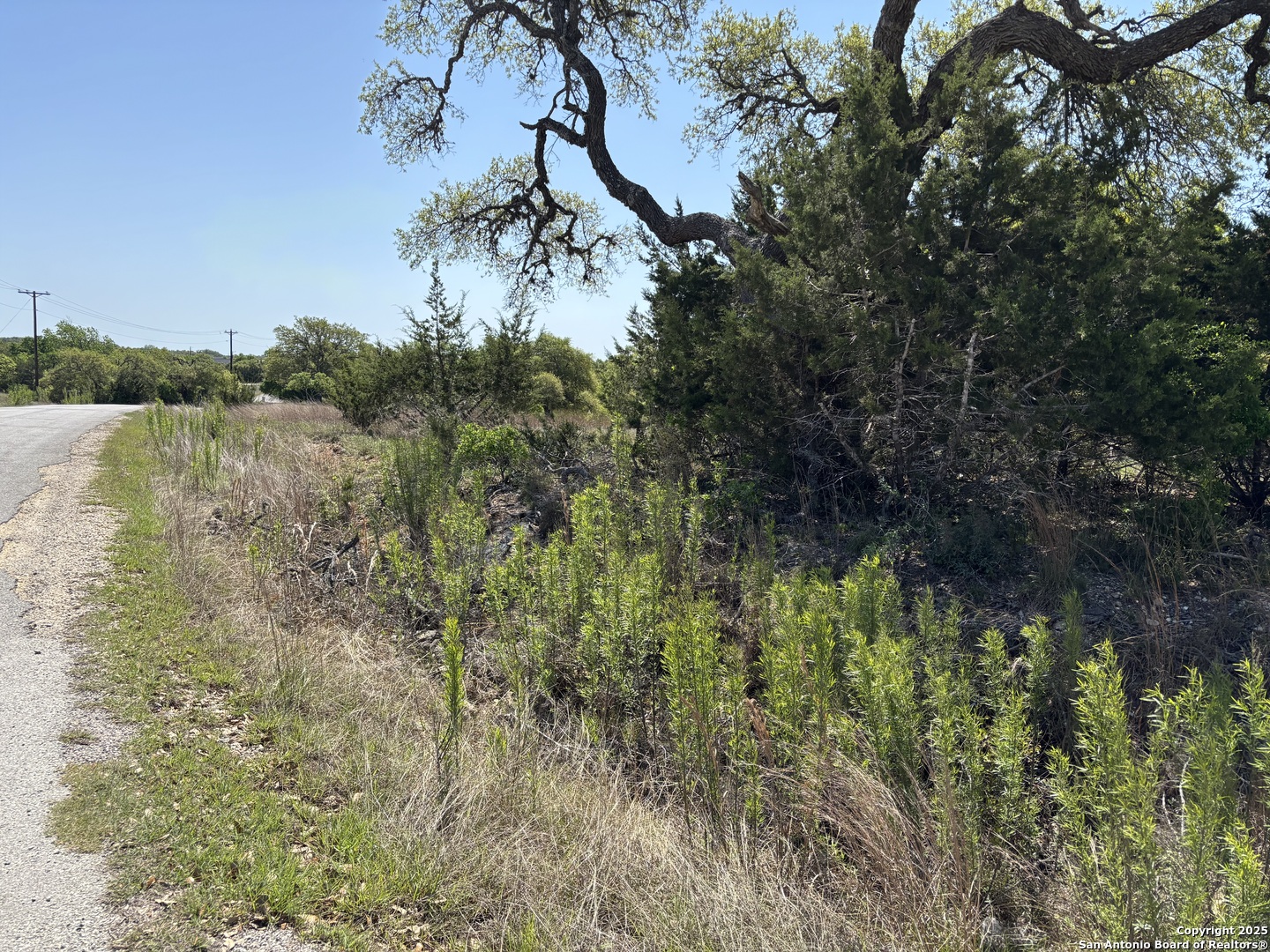 Lot 371 West Nicholas Weeks Blanco, TX 78606 - Photo 11 of 18 a view of a lake with a tree
