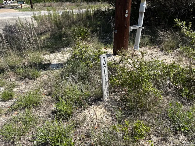 a backyard of a house with lots of green space and lake view