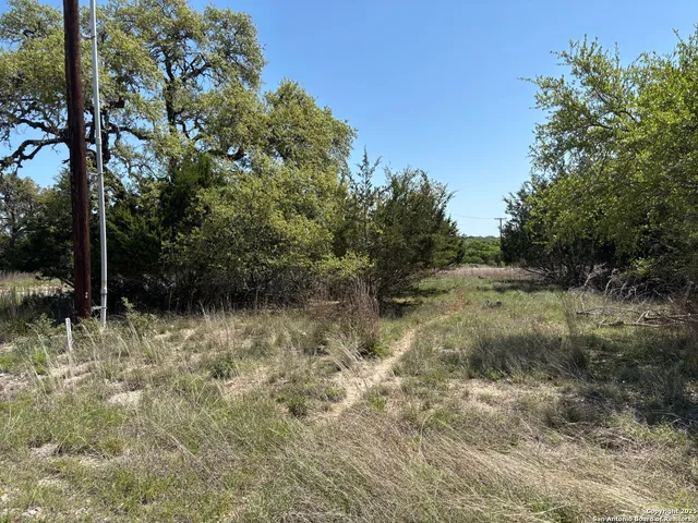 a view of a yard with large trees
