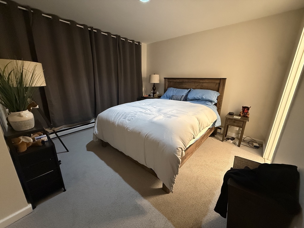 18-20 East Springfield Street, Unit 1 Boston, MA 02118 - Photo 3 of 14