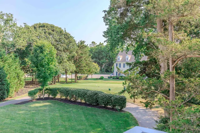 a green field with lots of trees in it