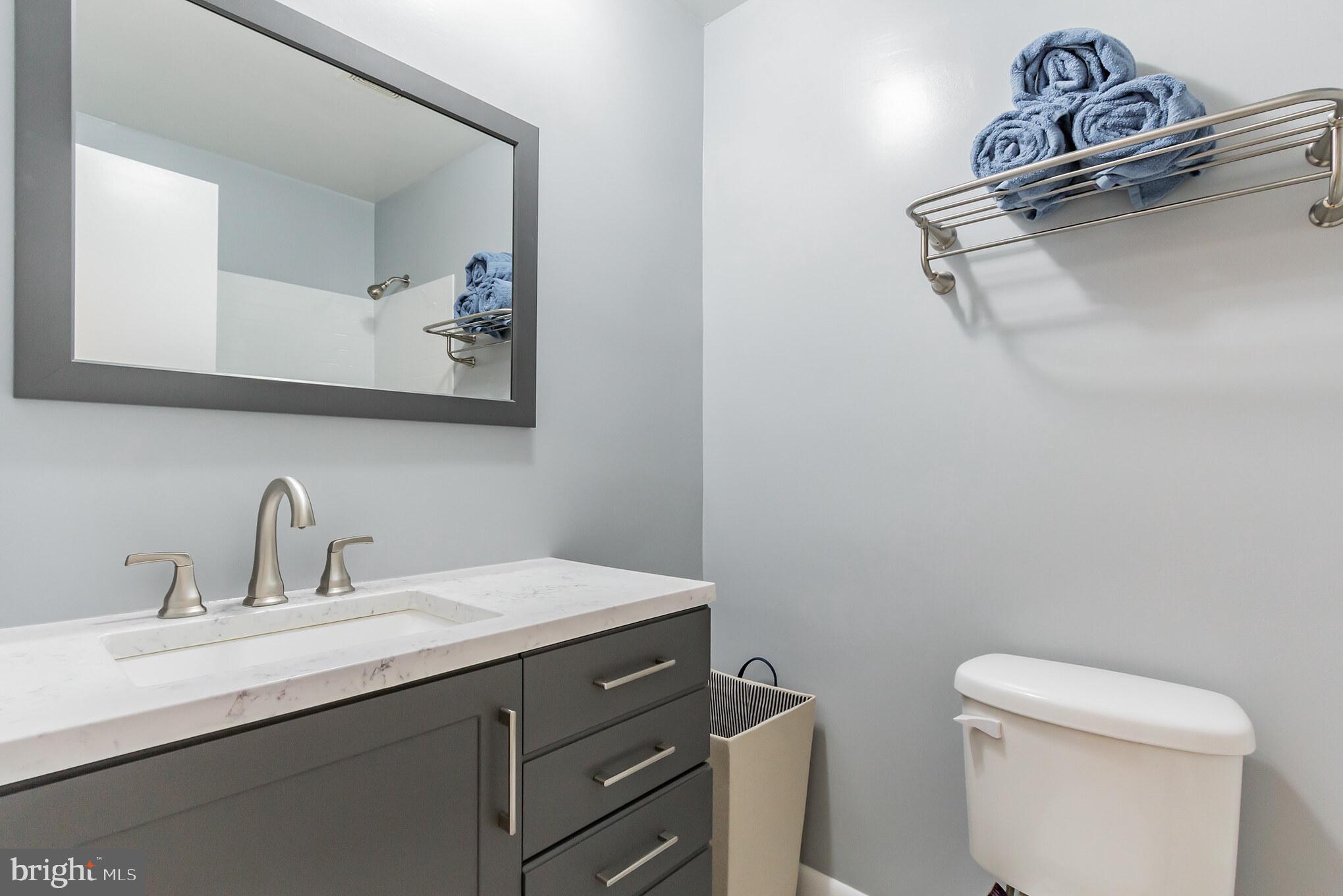 413 Torrington Place Silver Spring, MD 20901 - Photo 19 of 30 Newly Renovated Hall Bath