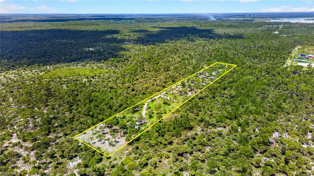 Naples Fl Naples Way Naples, FL 34117 - Photo 10 of 12 Expansive acreage featuring abundant mature trees and natural vegetation