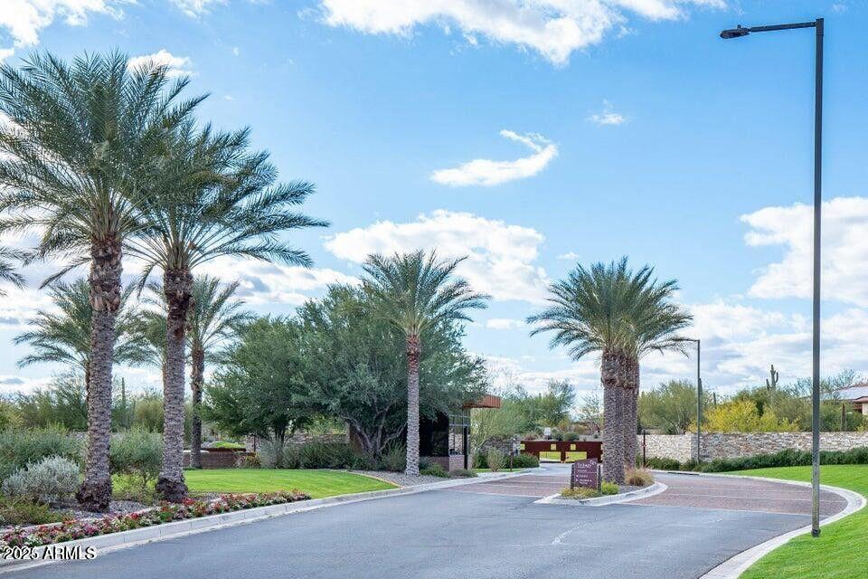 12920 West Roy Rogers Road Peoria, AZ 85383 - Photo 77 of 85 a view of a park with palm trees