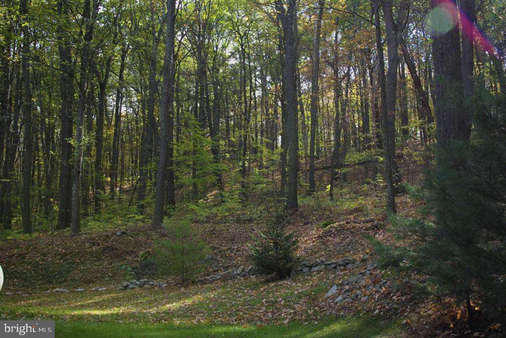 451 Daniel Road Newport, PA 17074 - Photo 22 of 23