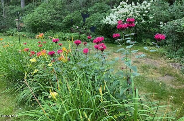 1222 Hempstead Road Niskayuna, NY 12309 - Photo 44 of 52 IMG_2720 3