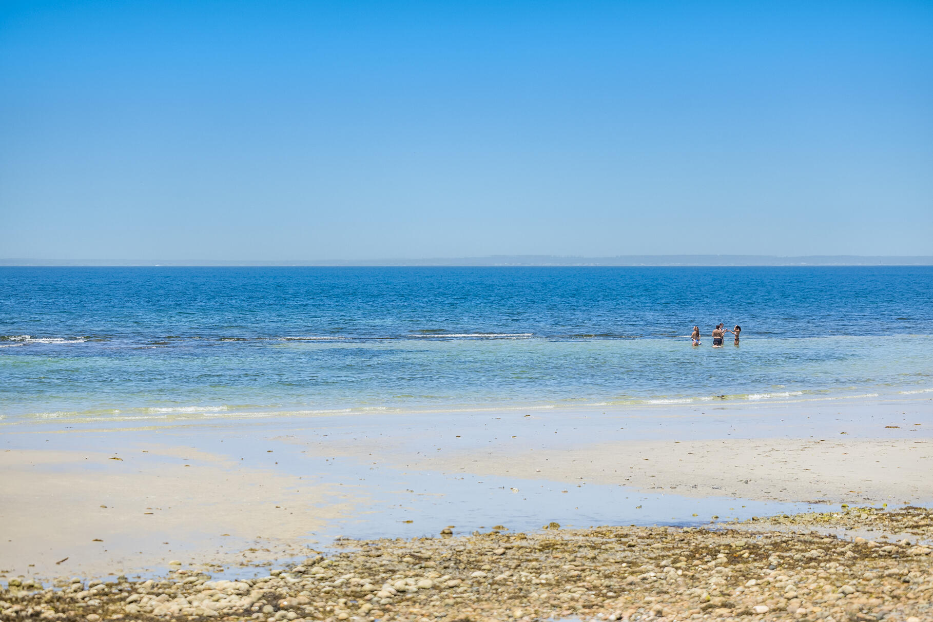 72 Loop Road Falmouth, MA 02540 - Photo 44 of 55 9L4A5775 (1)