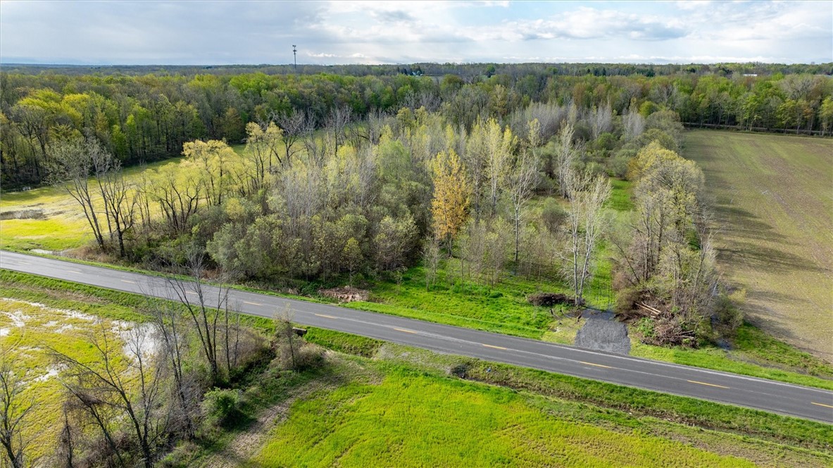 16126 Telegraph Road Murray, NY 14470 - Photo 4 of 50