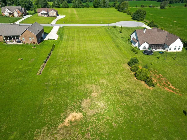 a view of a street with a park